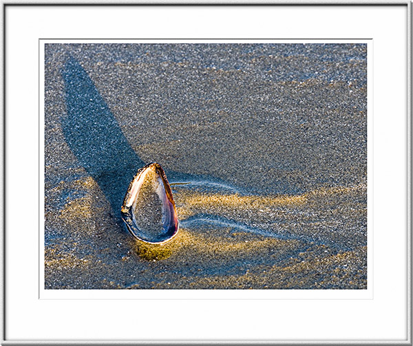 Image ID: 100-162-6 : Sand, Shell, and Sunset #1 